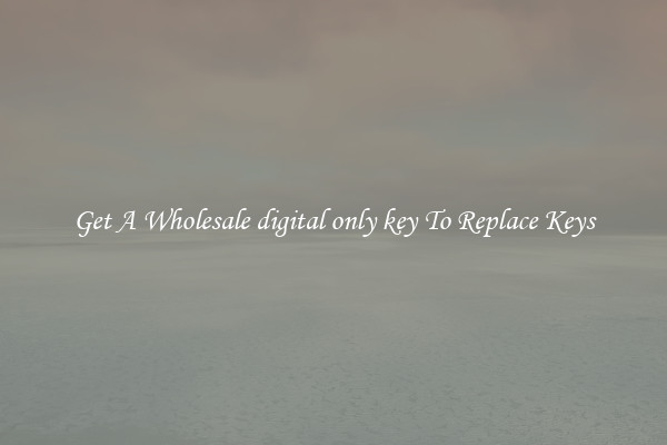 Get A Wholesale digital only key To Replace Keys