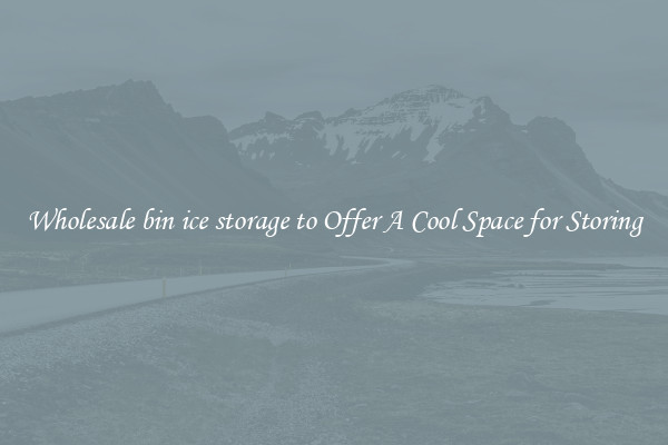 Wholesale bin ice storage to Offer A Cool Space for Storing