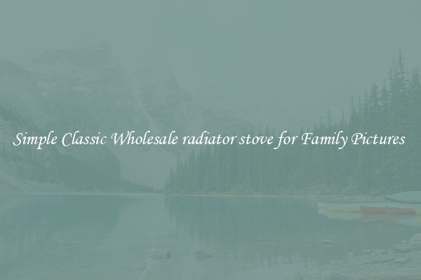 Simple Classic Wholesale radiator stove for Family Pictures 