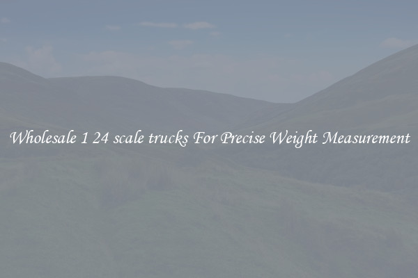 Wholesale 1 24 scale trucks For Precise Weight Measurement