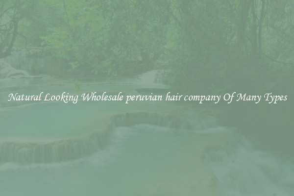 Natural Looking Wholesale peruvian hair company Of Many Types