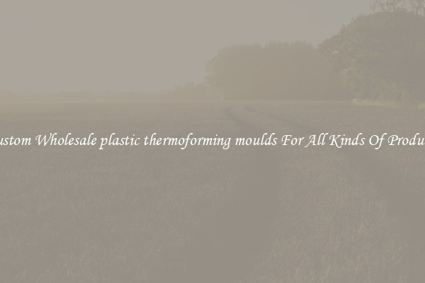 Custom Wholesale plastic thermoforming moulds For All Kinds Of Products
