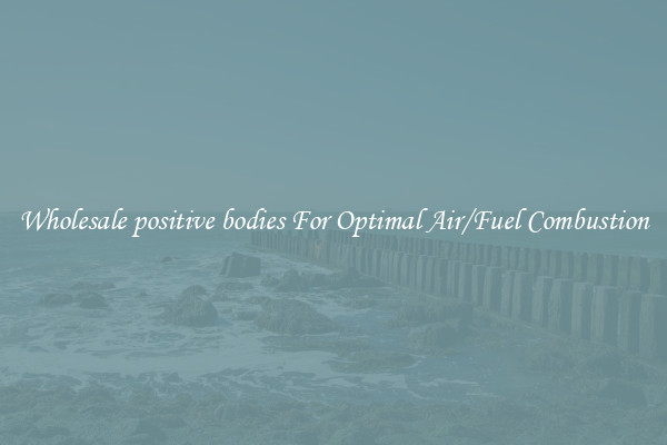 Wholesale positive bodies For Optimal Air/Fuel Combustion
