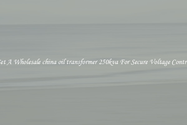 Get A Wholesale china oil transformer 250kva For Secure Voltage Control