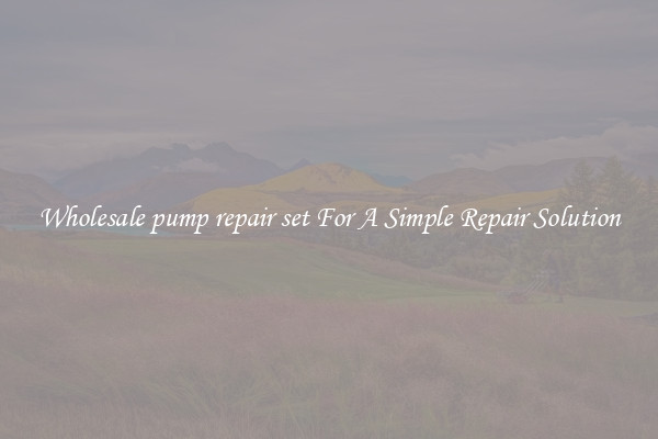 Wholesale pump repair set For A Simple Repair Solution