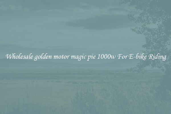 Wholesale golden motor magic pie 1000w For E-bike Riding