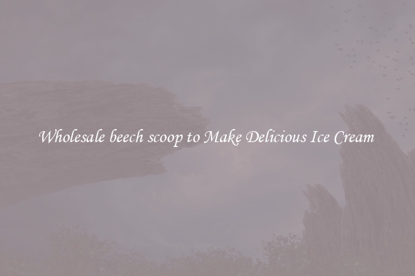 Wholesale beech scoop to Make Delicious Ice Cream 