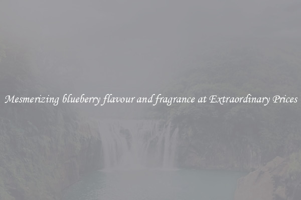 Mesmerizing blueberry flavour and fragrance at Extraordinary Prices