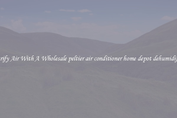 Purify Air With A Wholesale peltier air conditioner home depot dehumidifier