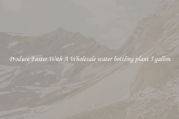 Produce Faster With A Wholesale water bottling plant 5 gallon