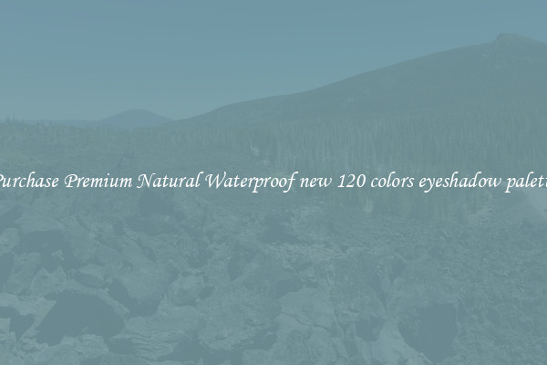 Purchase Premium Natural Waterproof new 120 colors eyeshadow palette