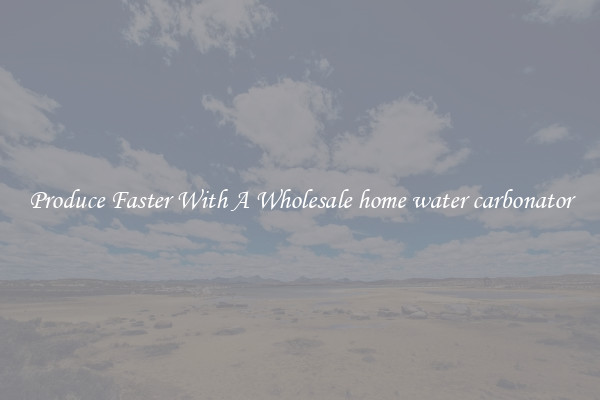 Produce Faster With A Wholesale home water carbonator