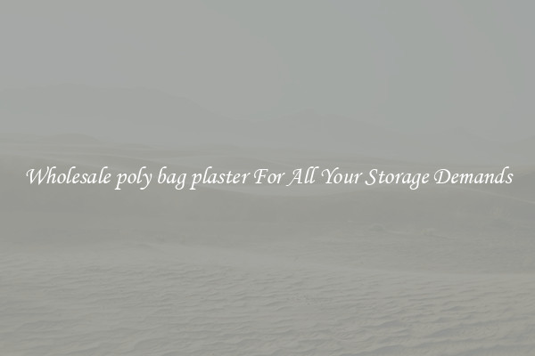 Wholesale poly bag plaster For All Your Storage Demands