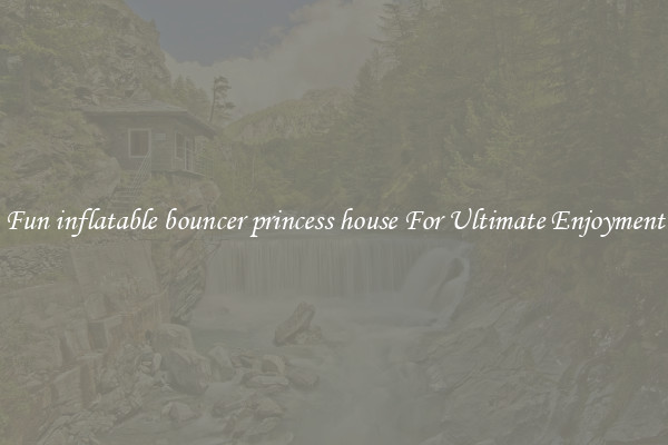 Fun inflatable bouncer princess house For Ultimate Enjoyment