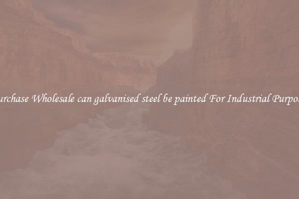 Purchase Wholesale can galvanised steel be painted For Industrial Purposes