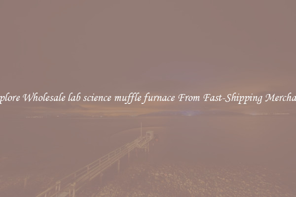 Explore Wholesale lab science muffle furnace From Fast-Shipping Merchants