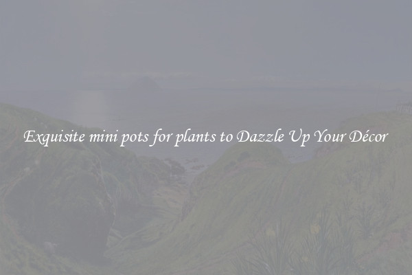 Exquisite mini pots for plants to Dazzle Up Your Décor 